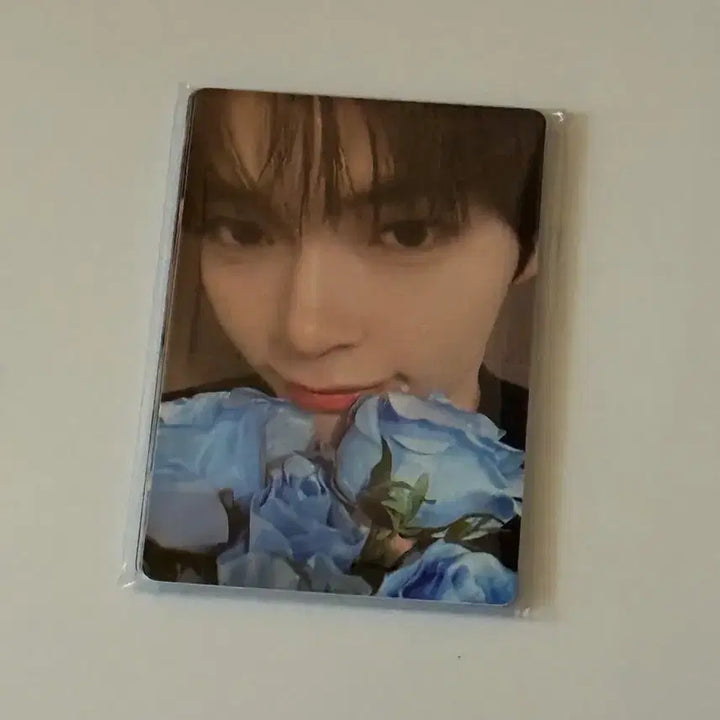 제베원 케이크 포카