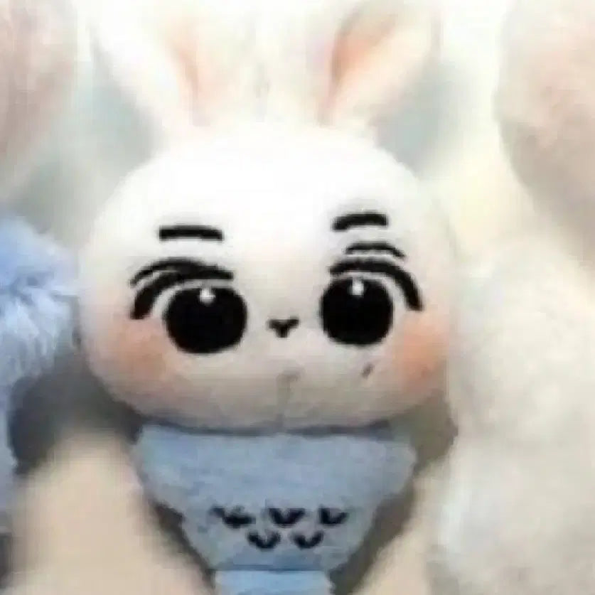 (새상품) 보이넥스트도어 이한 중국 인형 mini leeyu leetu