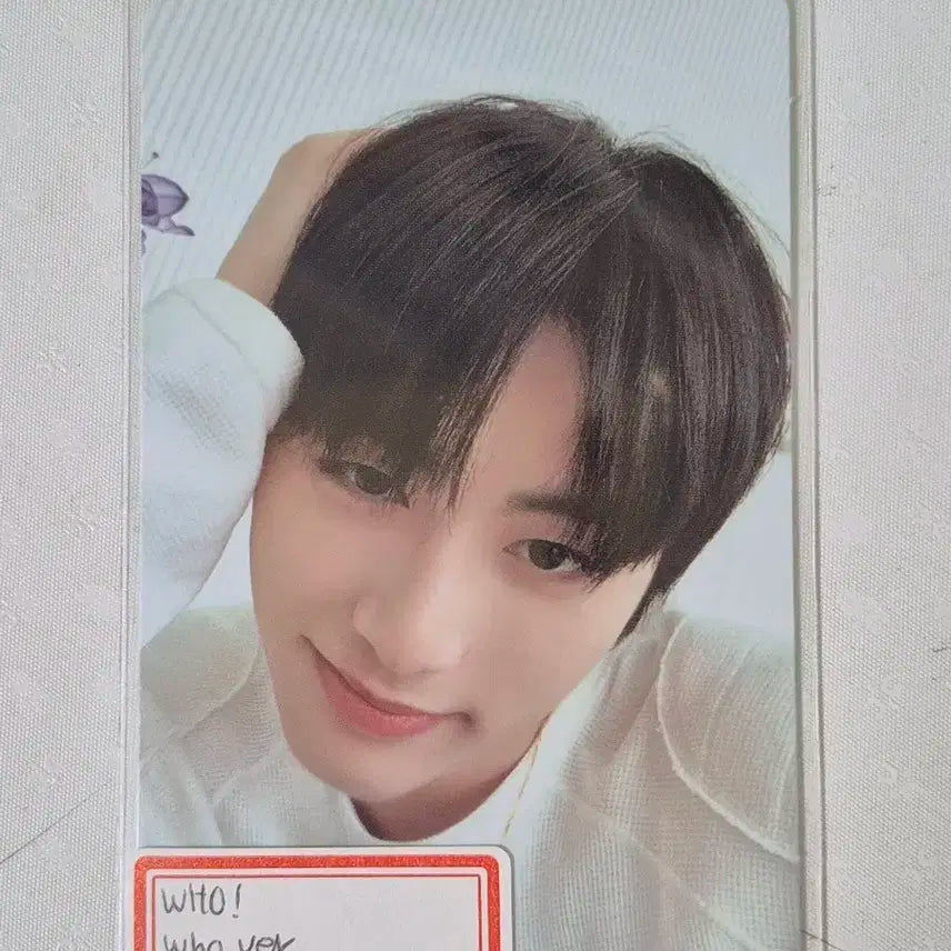 보넥도 태산 who! who.ver 포카 양도합니다