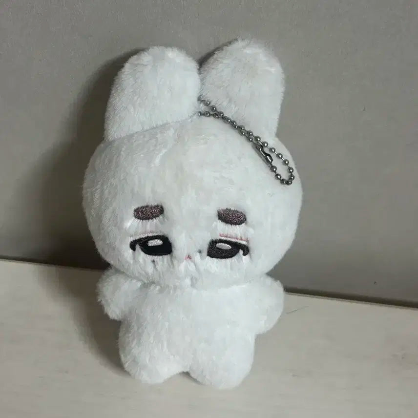 엔하이픈 성훈 인형 훈래빗 훈끼
