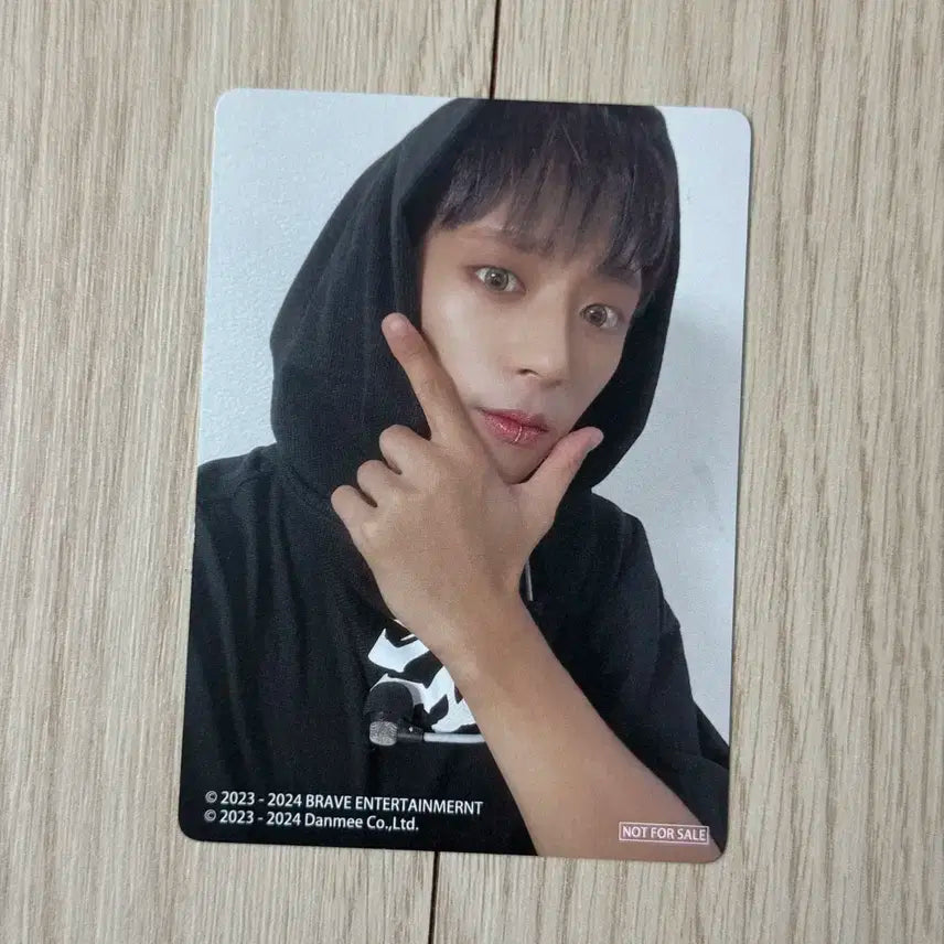 다크비 디원 왓더헬 일본 DANMEE 포카