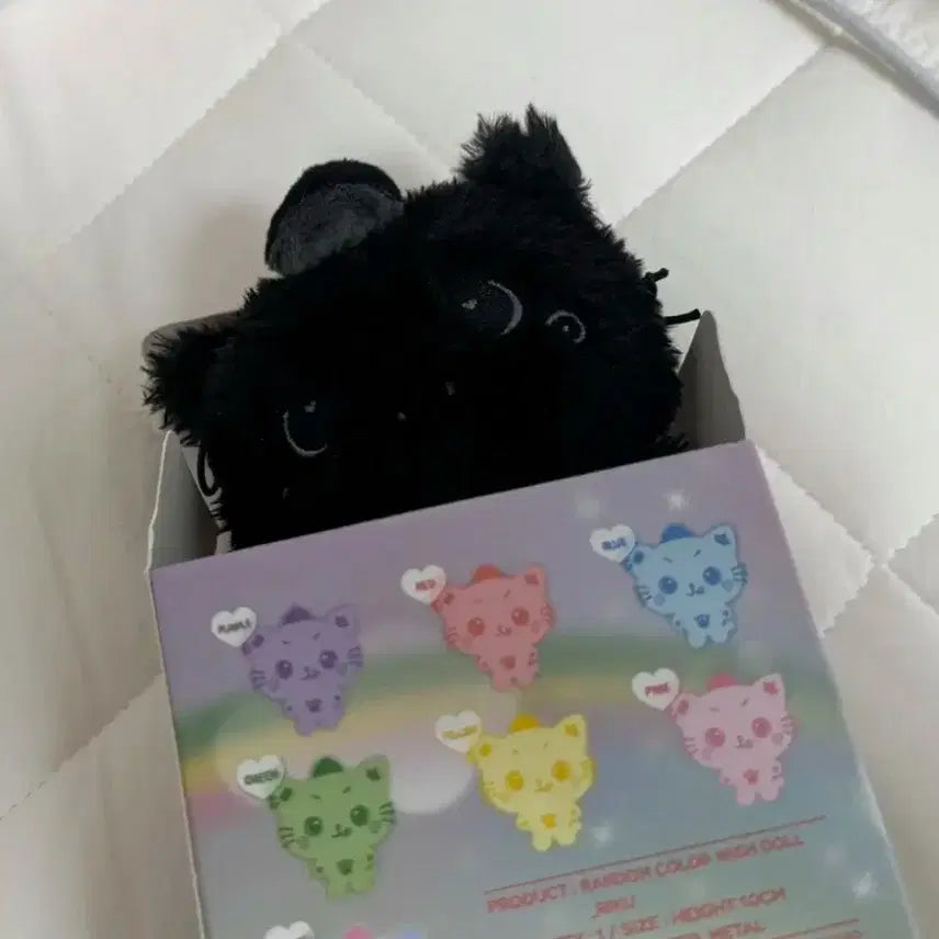 위시 위시돌 쿠리 시크릿