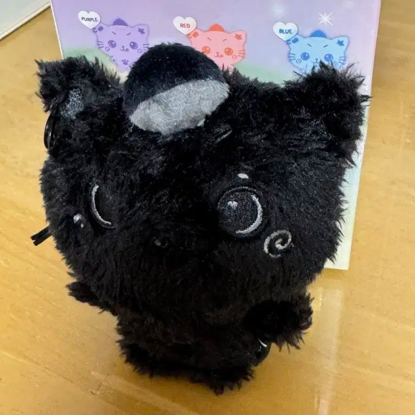 시크릿 블랙 쿠리 엔시티위시 리쿠