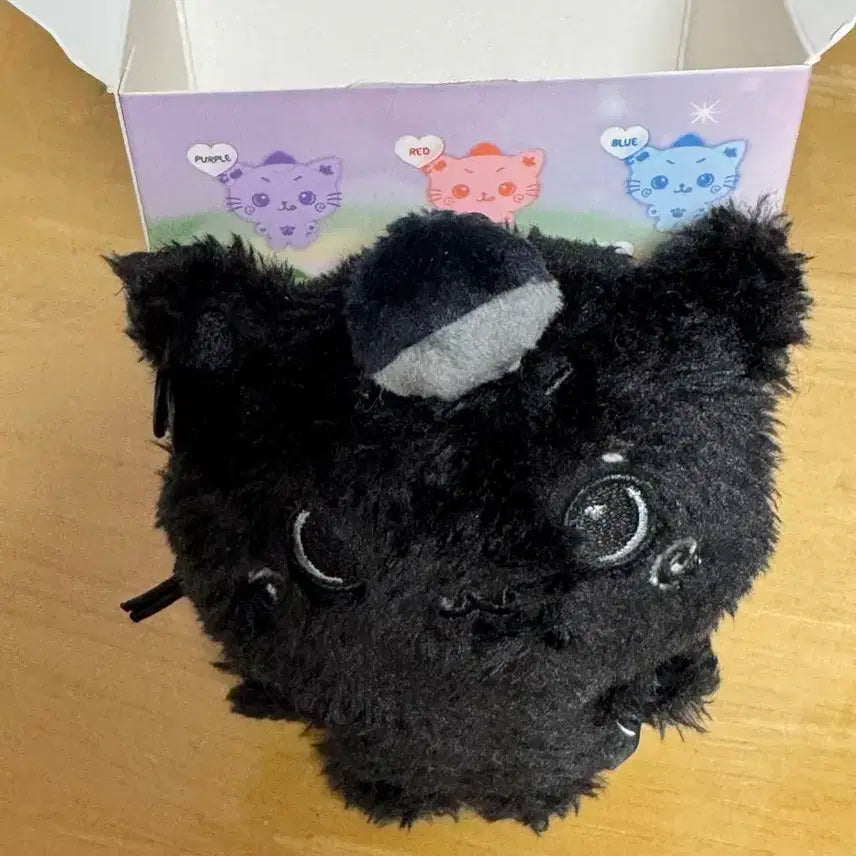 시크릿 블랙 쿠리 엔시티위시 리쿠