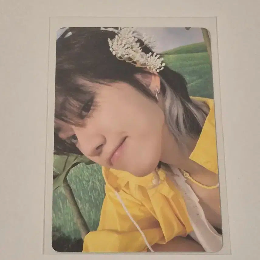 세븐틴 캐럿반 디에잇 포카