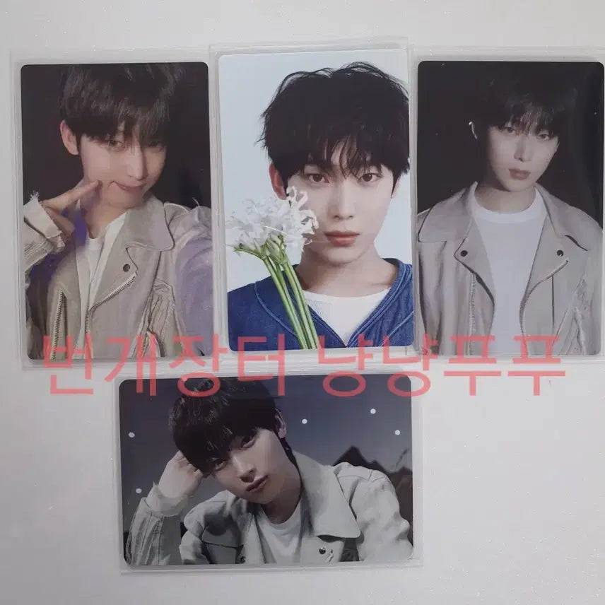 엔하이픈 선우 YOI 포카 일괄