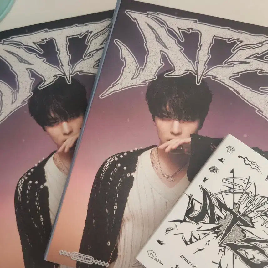 스트레이키즈 Ate 미니앨범+아코디언 승민