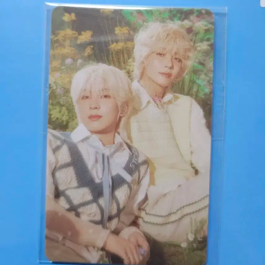 정한 원우 위버스 특전