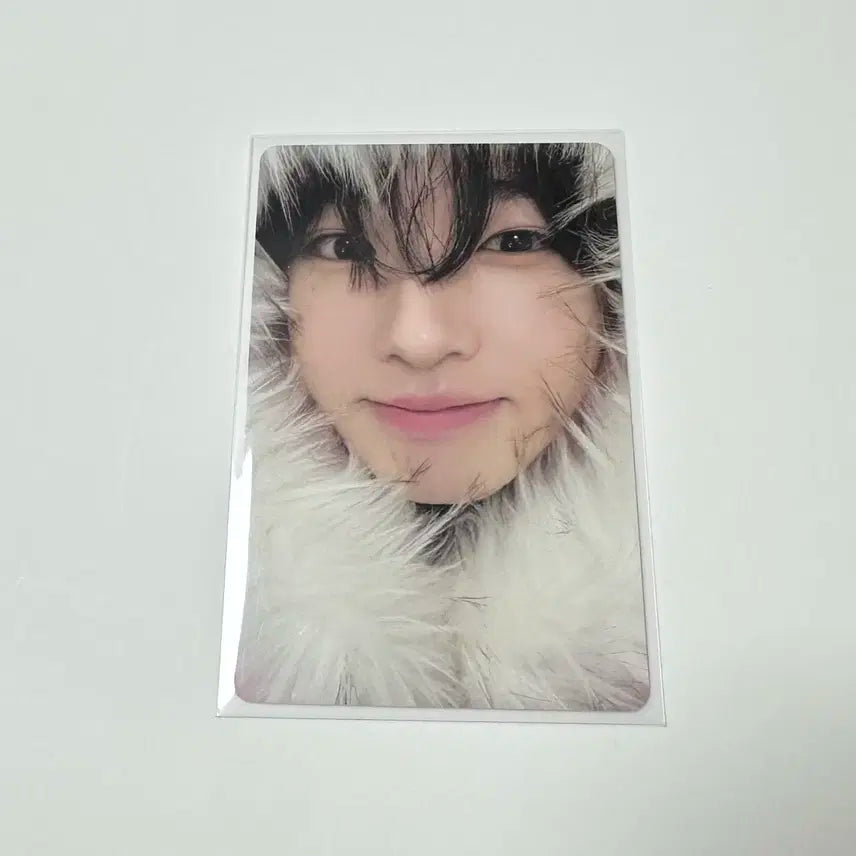 엔시티 위시 컬러 앨범 미라클 사쿠야 포카 판매