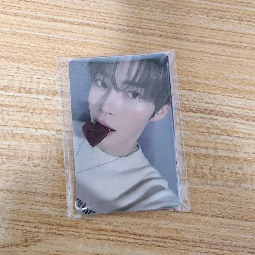 제로베이스원 제베원 2주년 쿠키 포카 일괄