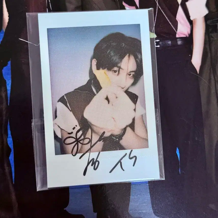 태산 피가로 보넥도 마담피가로 폴라로이드 한태산