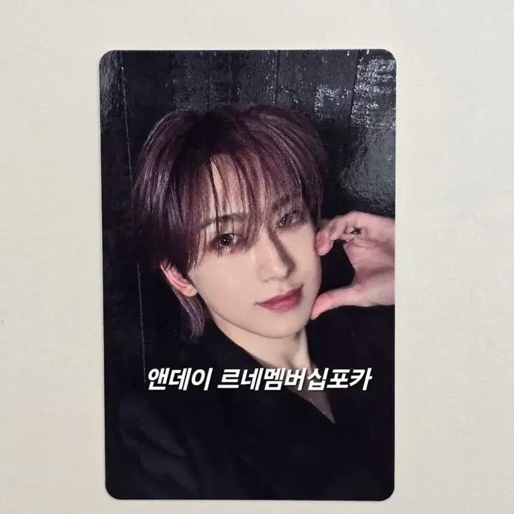 앤팀 후마 앤데이 멤버십포카