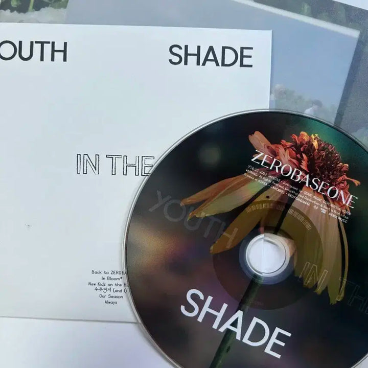 제베원 youth in the shade