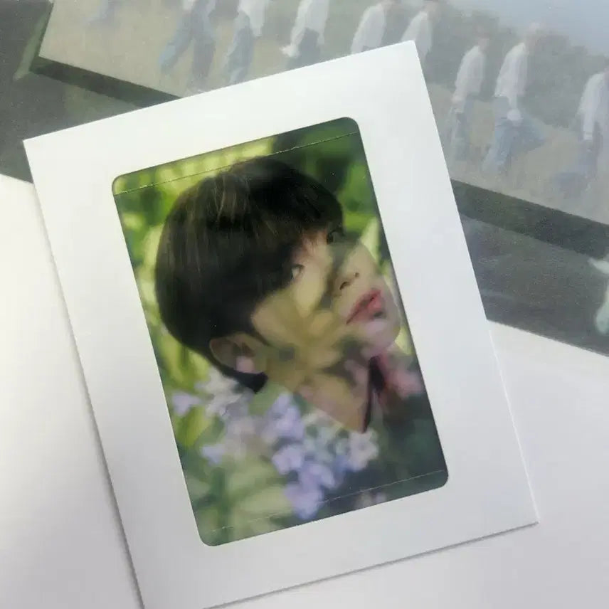 제베원 youth in the shade