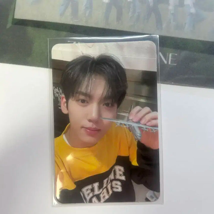 제베원 youth in the shade