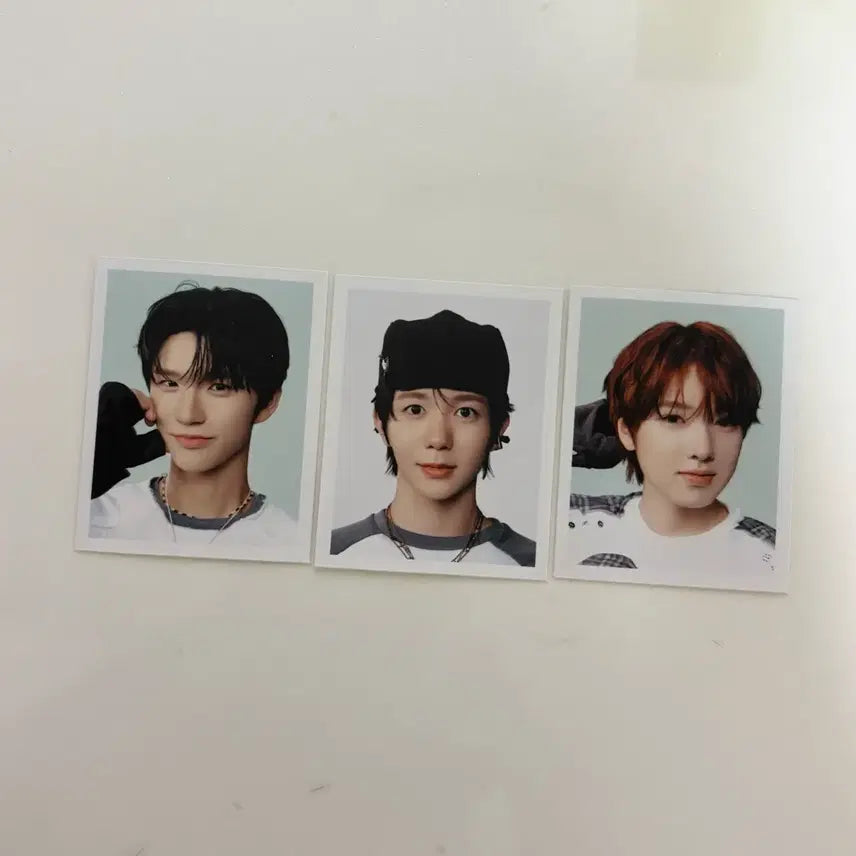 엔시티위시 컬러 color 팝업 증사 일괄 양도합니다!