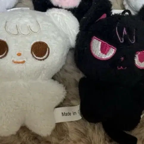 앤팀 인형 코냥쭈멍 양도