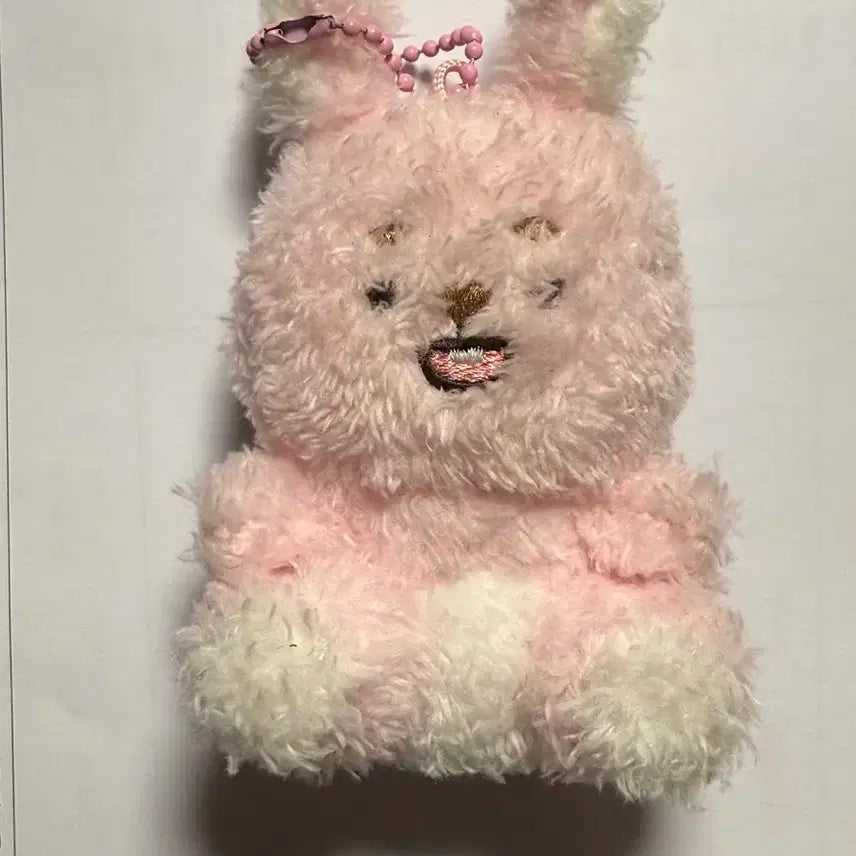 데이식스 원필 필끼 앉은 필 인형 양도합니다!