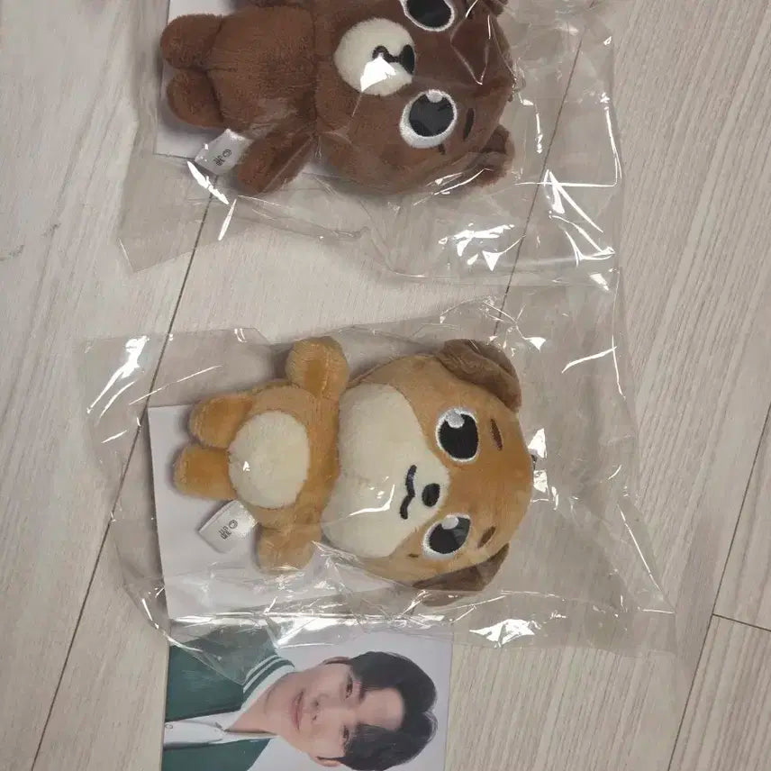 일본 백참 데니멀즈 방 돈 일괄