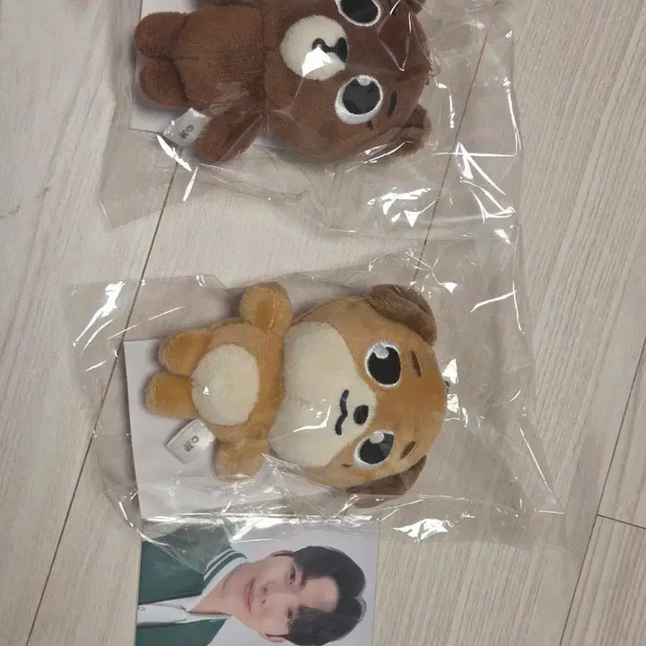 일본 백참 데니멀즈 방 돈 일괄