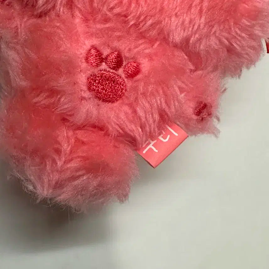 위시돌 쿠리 레드