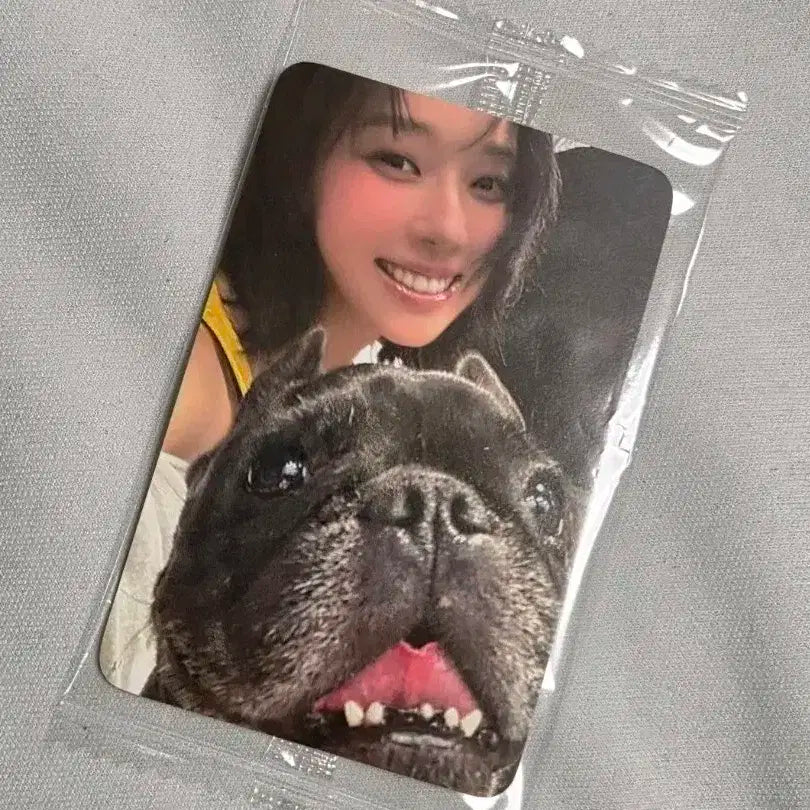 에스파 윈터 포카 미개봉 리치맨 케타포 미공포