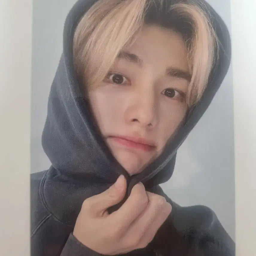 스키즈 스트레이키즈 현진 럭드 포카 후드현진