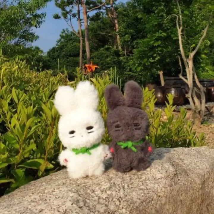 콩떡찡 흑임자찡 미개봉 양도 샤이니 온유 인형