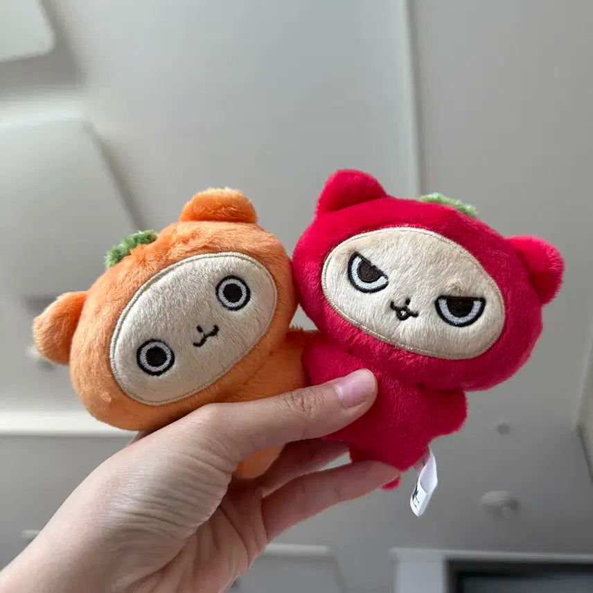 토마코
