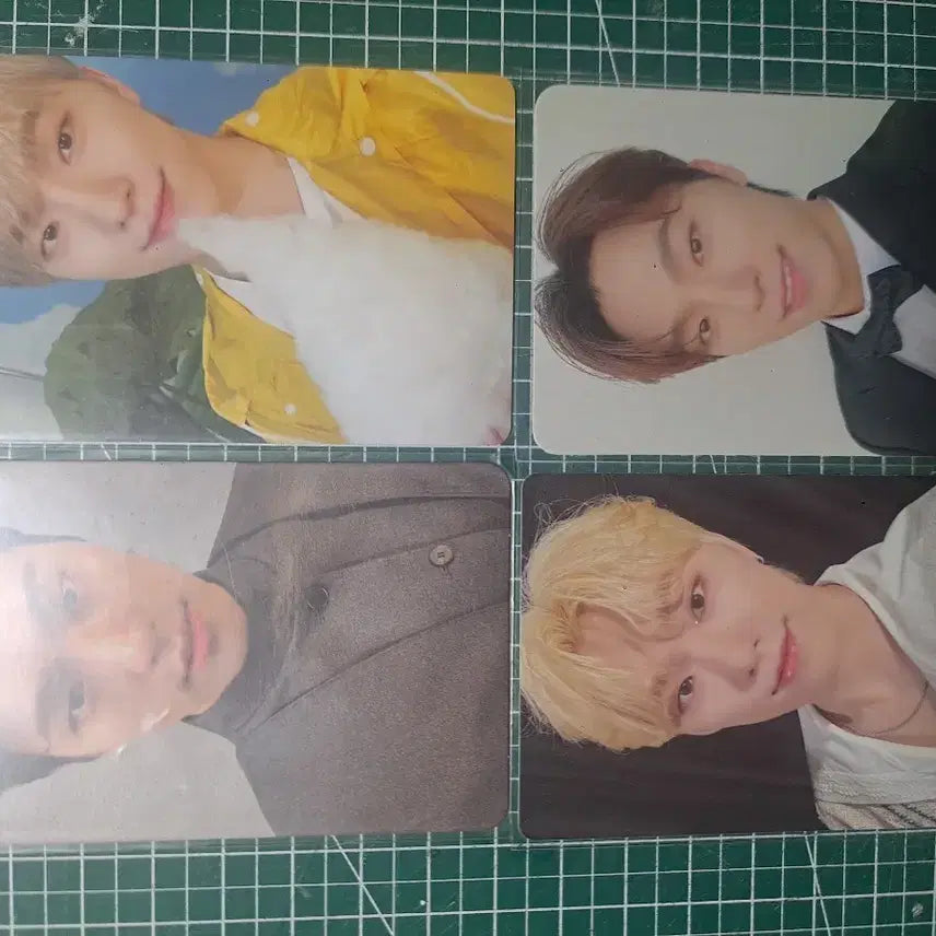 디노 포카 양도