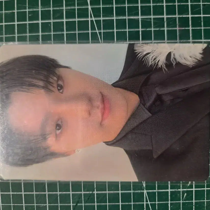 세븐틴 디노 포카 양도