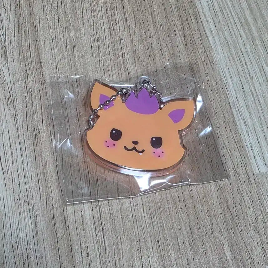 엔시티위시 컬러 팝업 위시돌 미러 키링 시오닝