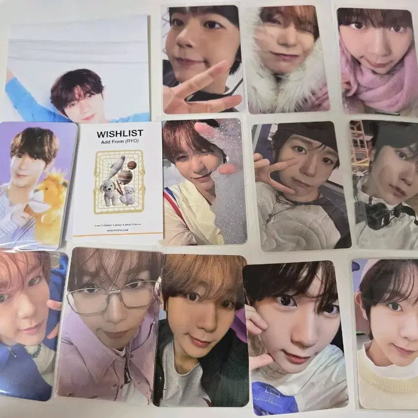 엔시티 위시 료 팝팝 컬러 시그 포카 엽서 일괄 양도