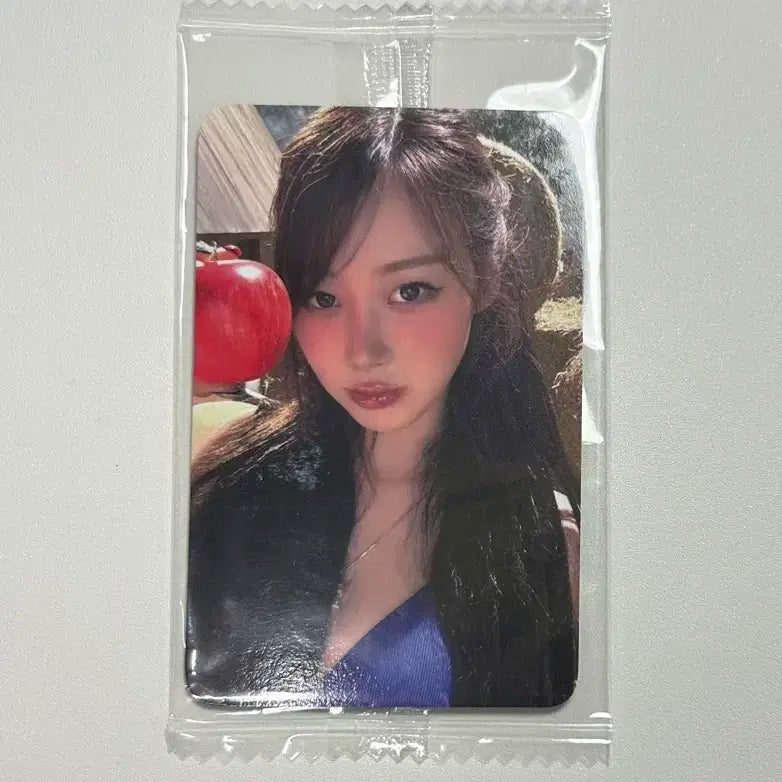 리치맨 케타포 미공포ㅣ카리나지젤윈터닝닝특전포토카드앨범분철포카