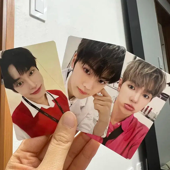 제베원 메디힐 포카