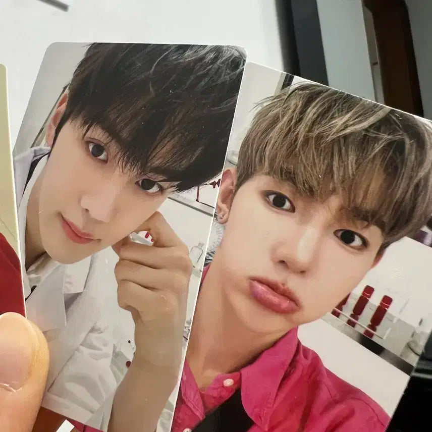 제베원 메디힐 포카