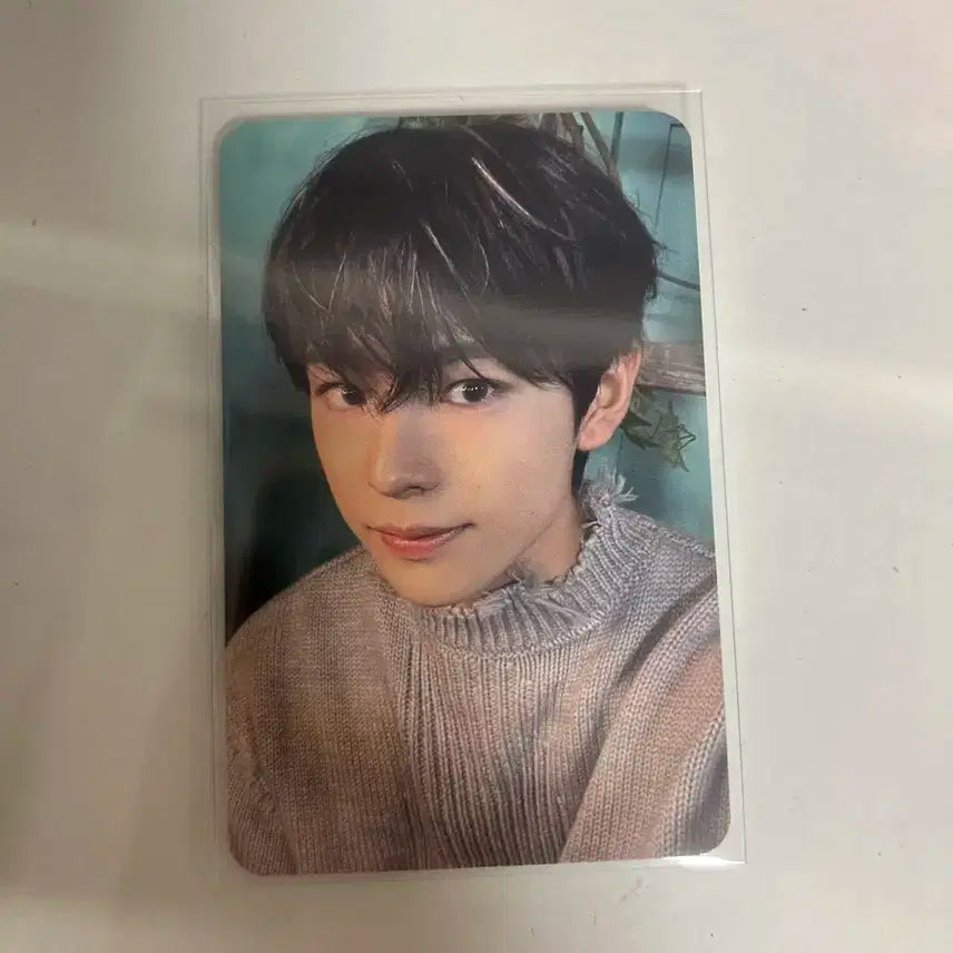 엔시티 위시 스테디 비트로드 유우시 럭드 양도 판매 폭덤 !!