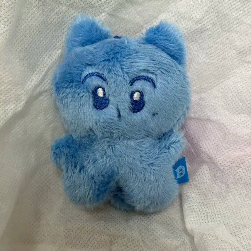 빅블루 엔시티 마크 인형 애옹이 7cm