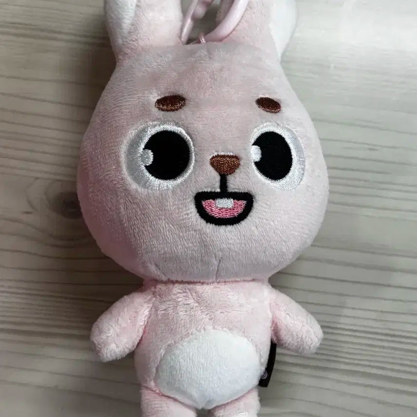 (오늘마지막) 데이식스 데니멀즈 24필