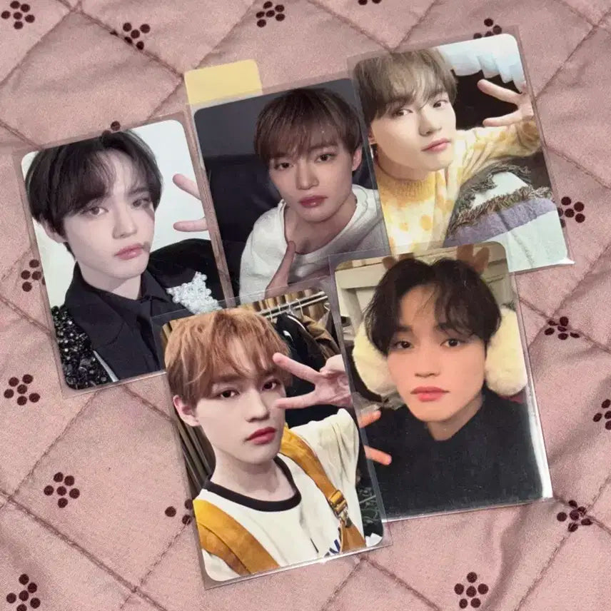 엔시티 드림 천러 포토카드 일괄 양도