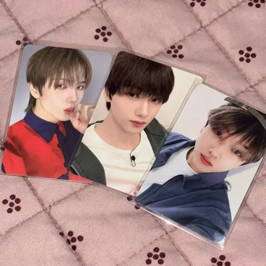 엔시티 드림 지성 포토카드 일괄 양도