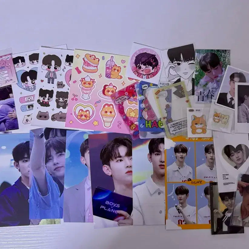 제로베이스원 제베원 장하오 비공굿 양도