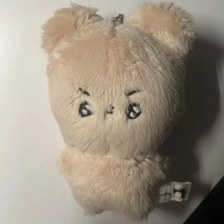 횬도리 더보이즈 현재 인형 현재인형