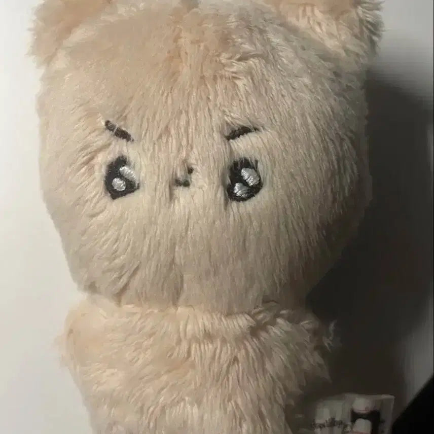 횬도리 더보이즈 현재 인형 현재인형