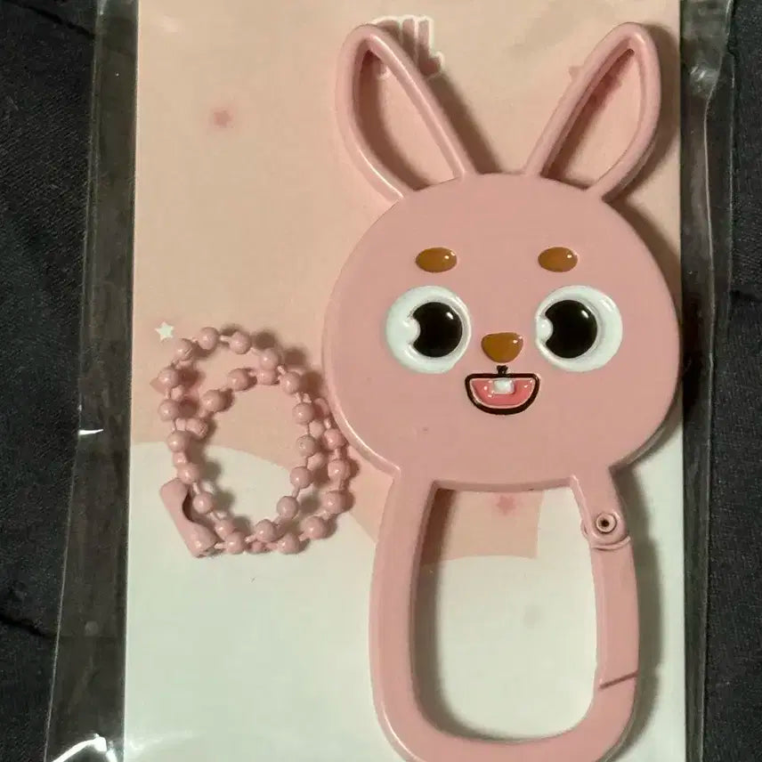 데이식스 메탈 카라비너 원필