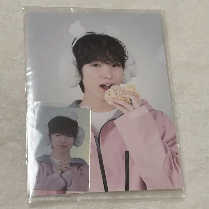NCT WISH 엔위시 사쿠야 엔시티존 겨울 붕어빵 포토카드 포스터 일괄