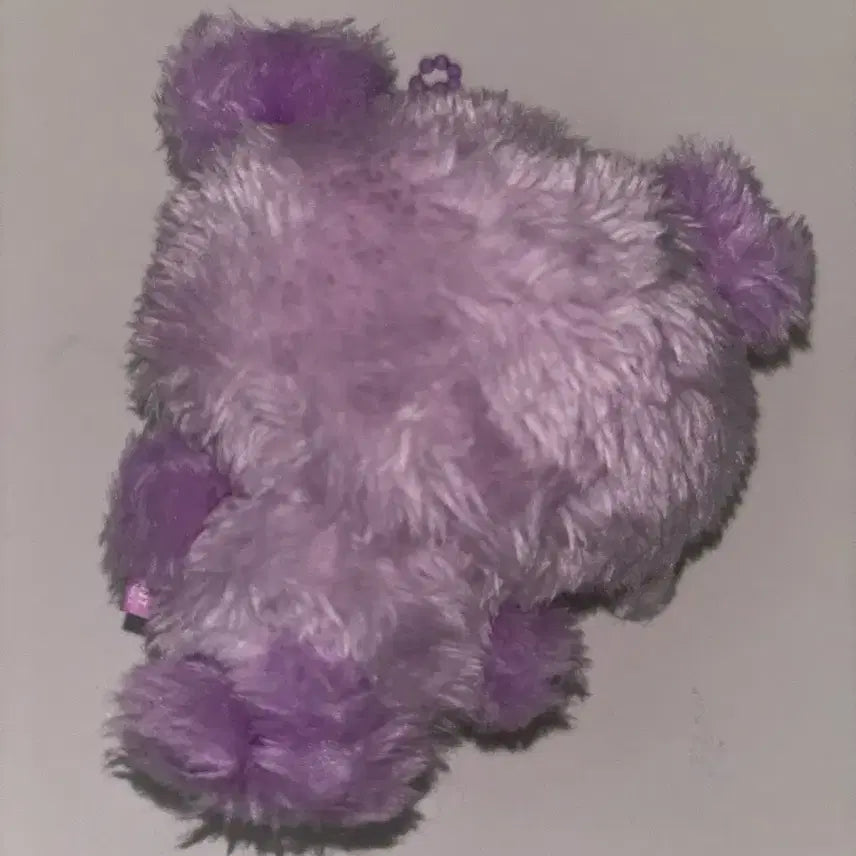 엔시티 위시 컬러 팝업스토어 위시돌 윗부부 사쿠야 팡이 보라색