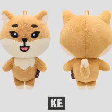 [미개봉] 데이식스 데니멀즈 19케 영케이 고양콘