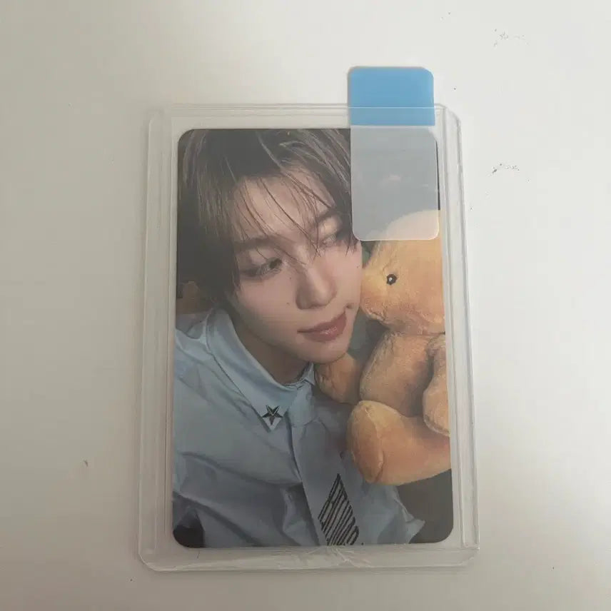 nct wish 위시 시온 스테디 steady 포카 엔위시