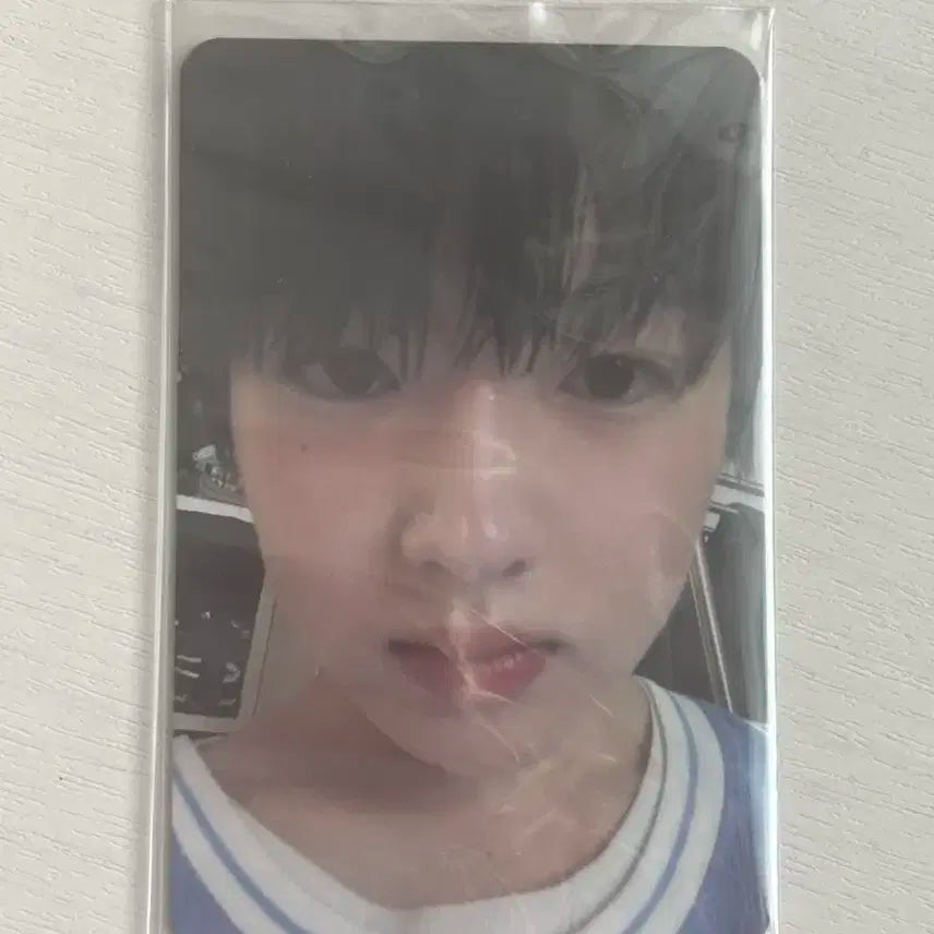 사쿠야 초회한정반 팝팝 엔시티위시 포카